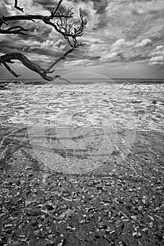 Botany Bay Beach