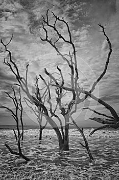 Botany Bay Beach