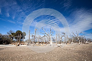 Botany Bay beach