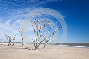 Botany Bay beach