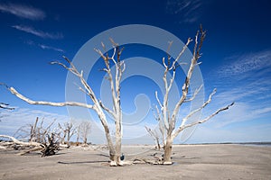 Botany Bay beach