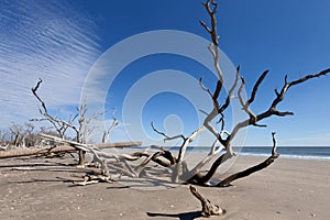 Botany Bay beach