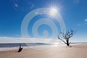 Botany Bay beach