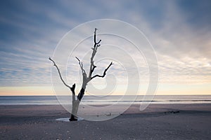 Botany Bay beach