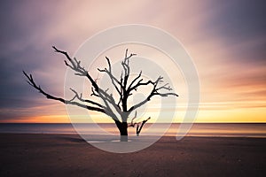 Botany Bay beach at cloudy sunset