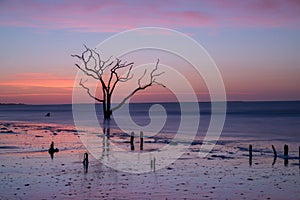 Botany Bay Beach at dawn
