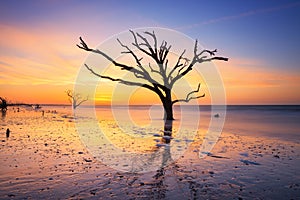 Botany Bay Beach at dawn