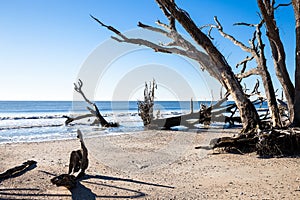 Botany Bay beach, Edisto Island, South Carolina