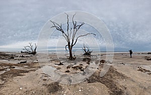 Botany Bay beach panorama at cloudy day, Edisto Island, South Carolina