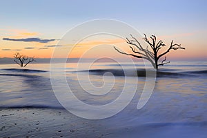 Botany Bay Charleston Edisto South Carolina