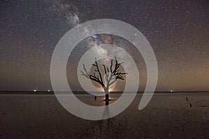 Botany Bay Plantation Beach at night