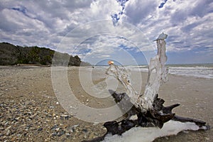 Botany Bay Plantation Boneyard Beach SC