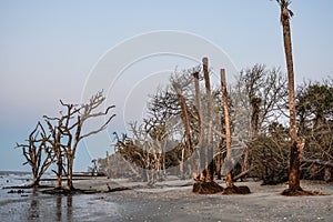 Botany Bay Plantation, Edisto Island, South Carolina