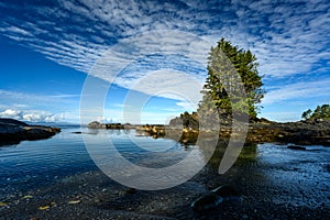 Botany Bay at the Port Renfrew, Vancouver Island, BC Canada