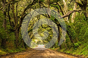 Botany Bay Road photo