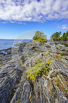 Botany Bay Shoreline on Vancouver Island