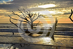 Botany Bay Sunrise photo