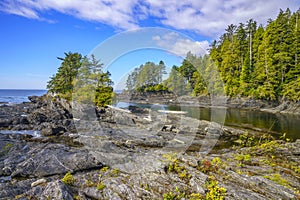 Botany Bay Trees and Rock Formations, Vancouver Island