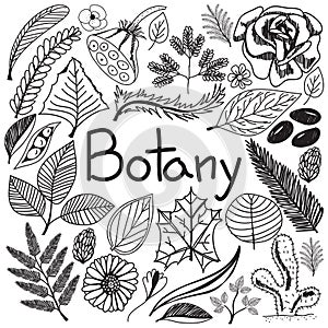 Botany biology doodle handwriting icons plants and trees