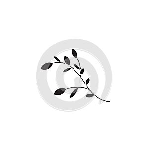 Botany black vector concept icon. Botany flat illustration, sign