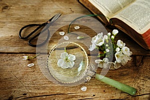 Botany, cherry blossom, scissors, magnifying glass and a book on