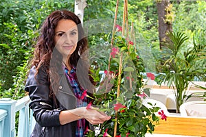 Botany. The concept of landscaping in cafes and restaurants.