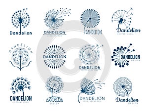 Botany dandelion logo. Herbal leaves flowers vector illustrations for brand design