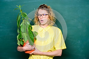 Botany and nerd concept. Woman school teacher chalkboard background carry plant in pot. Take good care plants. Greenery