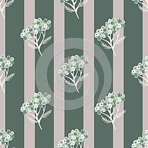 Botany seamless pattern with maedow yarrow flower silhouettes print. Striped backround