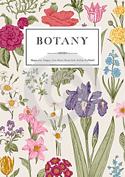 Botany. Vintage floral card.