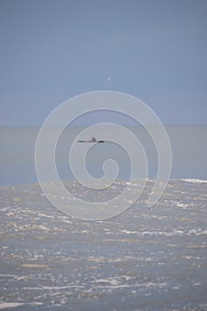 bote navegando en el mar a lo lejos photo