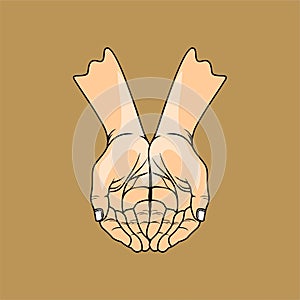 both hands open looking up vector illustration photo