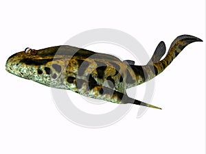 Bothriolepis Fish Side Profile photo