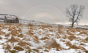 Derelict Bothy in the Scottish Mountains