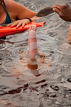 Boto Amazon River Dolphin. Amazon river, Amazonas, Brazil