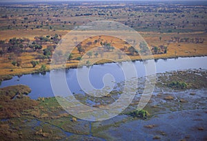 Botswana: Airshot from the Okavango-Delta swamps