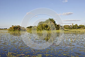 Botswana: Boat-trip through the Okavango-Delta swamps