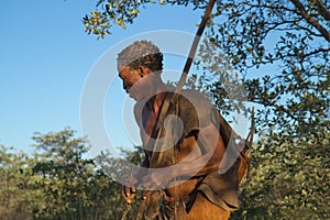 Botswana bushmen