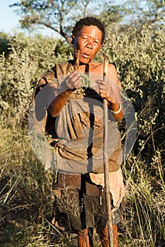 Botswana bushmen
