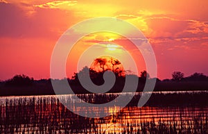 Botswana: Okavango Delta cruise at sunset