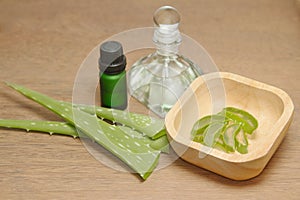 Bottle of aloe vera essential oil with fresh plant photo