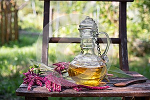A bottle of amaranthus caudatus oil and fresh plant