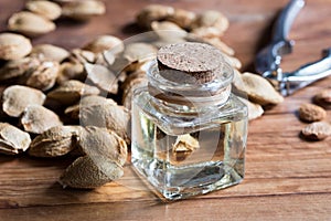 A bottle of apricot kernel oil with apricot kernels