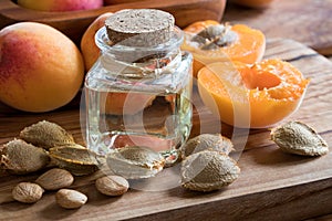 A bottle of apricot kernel oil with apricot kernels and apricots