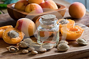 A bottle of apricot kernel oil with apricot kernels and apricots photo