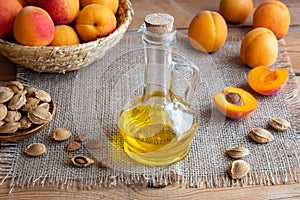 A bottle of apricot kernel oil with fresh ripe apricots