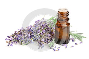 Bottle with aroma oil and lavender flowers isolated on white background