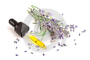 Bottle with aroma oil and lavender flowers isolated on white background