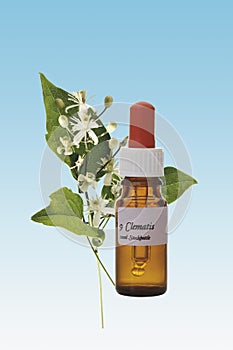 Bottle with Bach Flower Stock Remedy, Clematis (Clematis vitalba)