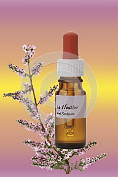 Bottle with Bach Flower Stock Remedy, Heather (Calluna vulgaris)